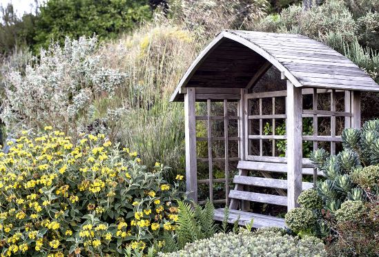 Creating a Garden on the North Devon Coast